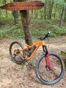 Driftwood! My Niner RIP9 has been everywhere.