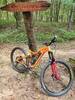 Driftwood! My Niner RIP9 has been everywhere.