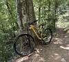 Absolutely a favorite trail in the area.