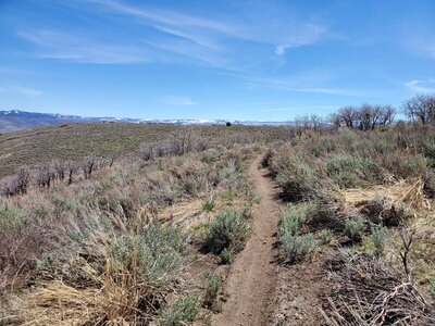 Views of the Uinta's from The King's Light trail portion of the Tuhaye Loop.