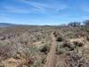 Views of the Uinta's from The King's Light trail portion of the Tuhaye Loop.