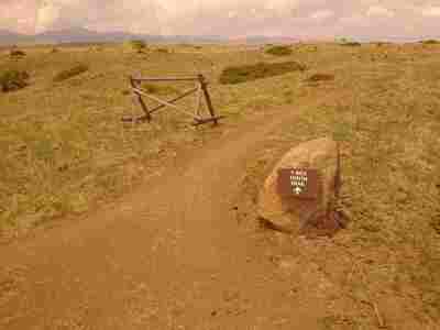 The T Rex Tooth trail starts at the top of the Cretaceous Trail.