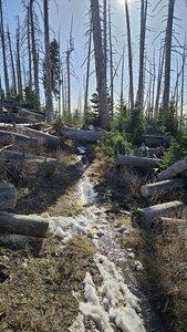 May 28, 2026 Conditions - Upper trail has some snow and downed trees.