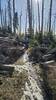 May 28, 2026 Conditions - Upper trail has some snow and downed trees.