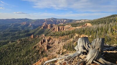 View of the Breaks from Blowhard trail
