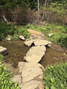 Rubber Ducky stream crossing.