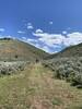 Valley from trailhead.