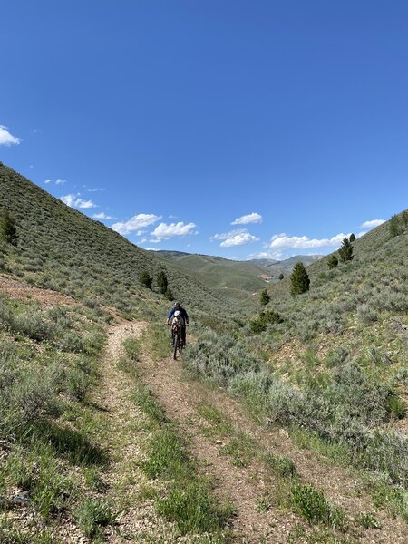 Biking up valley