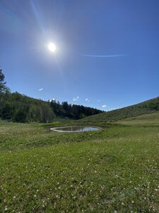 Pond