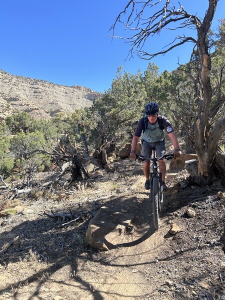 Rocky downhill