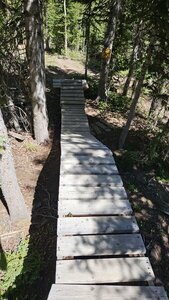 Jump at the end of the wood feature. Optional left alt line in Tank's Track.