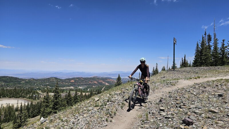 Great views from Color Flow!