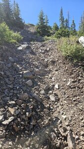 First steep part on Wildflower