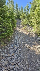 Just above the first crossing of the maintenance road.