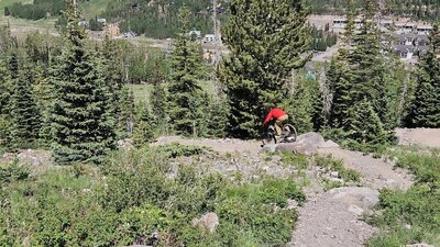 Start of lower Wildflower from Alpenway Access Road.