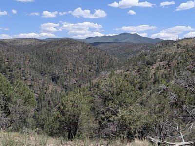 Magnificent vista of surrounding canyons as well as Signal Peak in the distance.