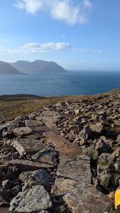 Some sections have no soil to speak of so they were paved with large flagstones found nearby.