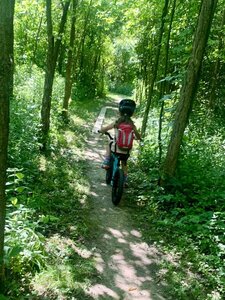 Riding the trail, with wood skinny feature.