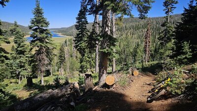 Views of the lake.