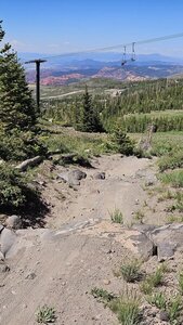 Timberline views
