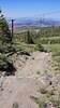 Timberline views