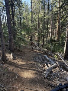 Relatively steep downhill with switchbacks at the end right before you pop out onto Pebble Beach Way.