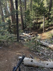 Relatively steep downhill with switchbacks at the end right before you pop out onto Pebble Beach Way.