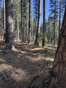 On the jaunt towards the end - new trails, fun little ride.