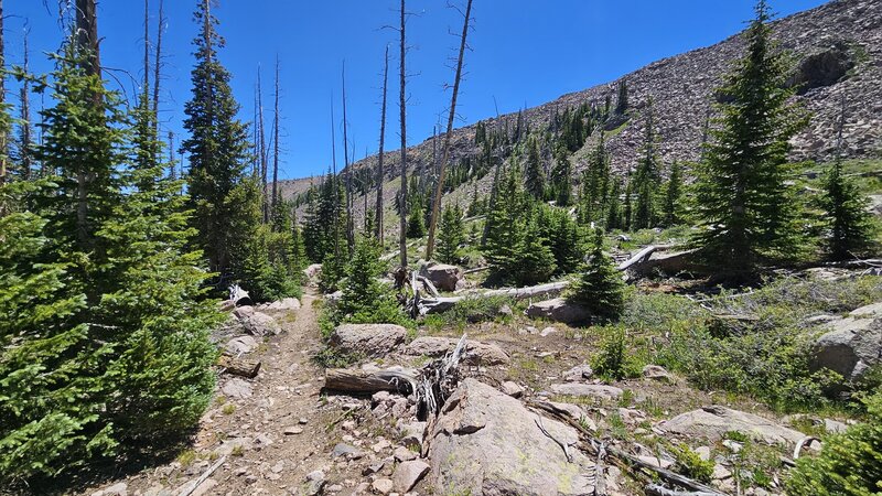 Upper Mace's Run