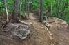 Rock work