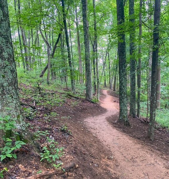 Middle Ridge Trail