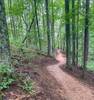 Middle Ridge Trail