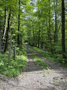 Trailhead