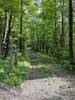 Trailhead