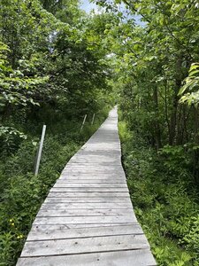 Long ramp near trailhead.