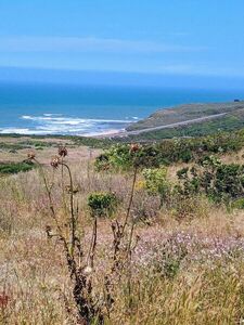 View from the Wildcat (Toróma) Trail.