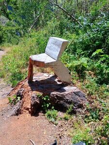 Cool Bench Cut from stump on the Wildcat (Toróma) Trail.