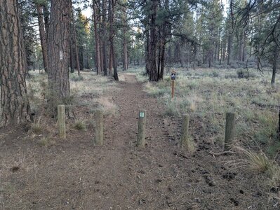 Start of the trail at the parking area off the McKensie Hwy and Edgington Rd intersection.