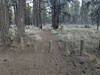 Start of the trail at the parking area off the McKensie Hwy and Edgington Rd intersection.