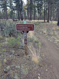 Trailhead sign south of the McKenzie Hwy and McKinney Butte Rd intersection.
