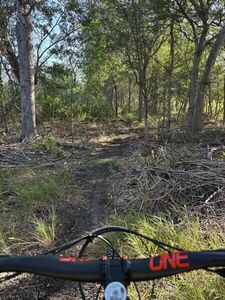 Picture of Trail after leaving the 1849 Park