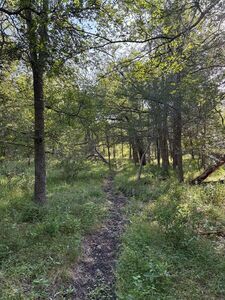 Picture of trail which leads from 1849 Park to Genesis Trail