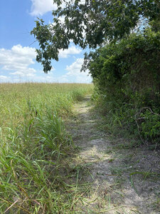 Trail running up the the west side of the field