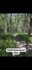 Titus trail in 1849 Park
