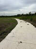 Paved path