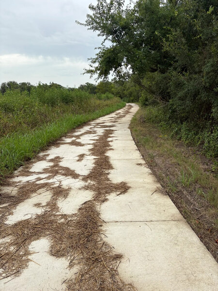Paved path