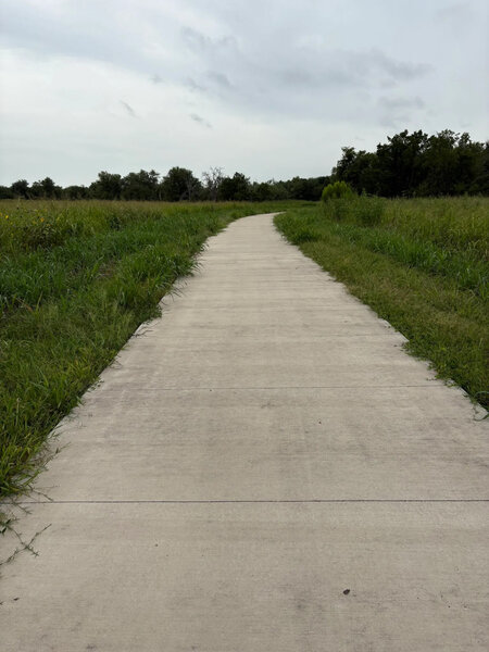 Path running trough field.