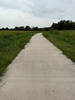 Path running trough field