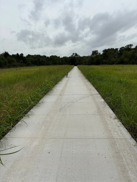 Path through field.