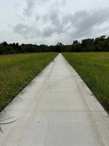Path through feild